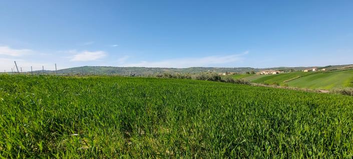 Image No.12-Country Property for sale