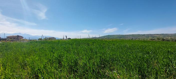 Image No.13-Country Property for sale