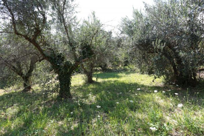 Image No.20-2 Bed Country Property for sale