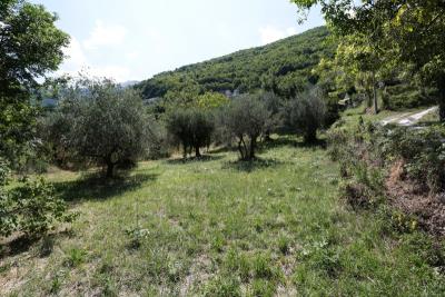 Penna24