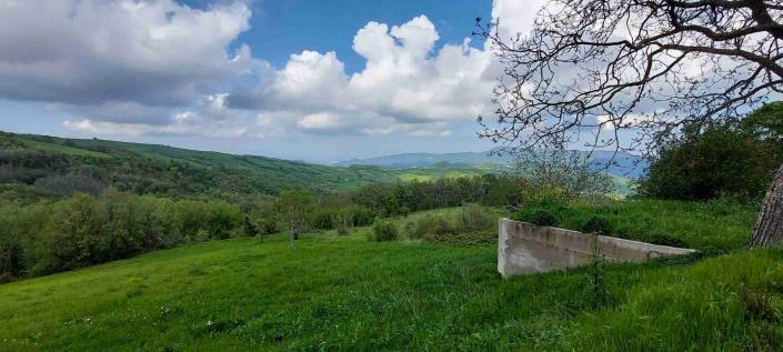 Image No.51-5 Bed Country Property for sale