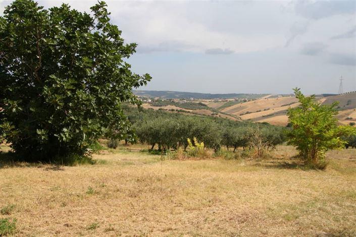 Image No.9-Propriété de pays de 4 chambres à vendre à Lanciano