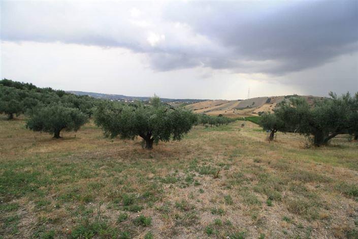 Image No.32-Propriété de pays de 4 chambres à vendre à Lanciano
