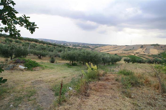 Image No.34-Propriété de pays de 4 chambres à vendre à Lanciano