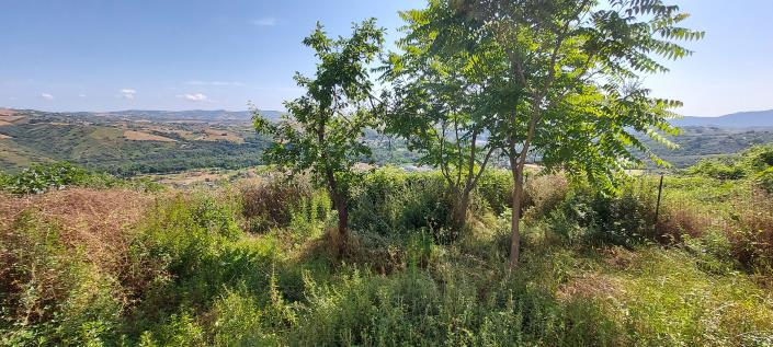 Image No.25-2 Bed Townhouse for sale