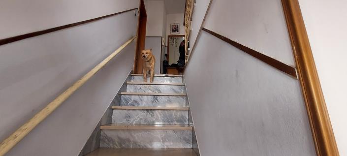 Image No.5-2 Bed House for sale