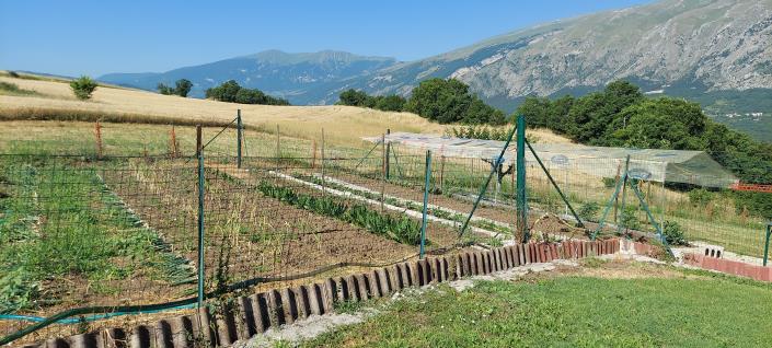 Image No.53-Propriété de pays de 4 chambres à vendre à Torricella Peligna
