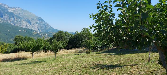 Image No.55-Propriété de pays de 4 chambres à vendre à Torricella Peligna