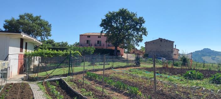 Image No.56-Propriété de pays de 4 chambres à vendre à Torricella Peligna