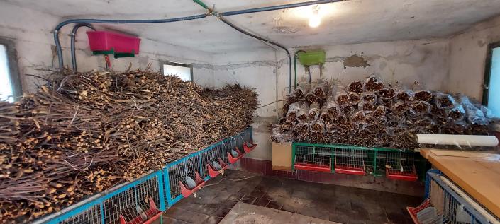 Image No.58-Propriété de pays de 4 chambres à vendre à Torricella Peligna