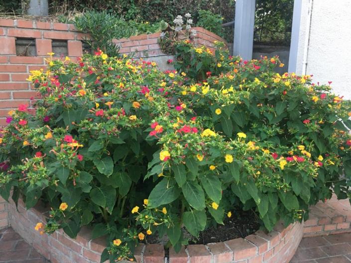 Image No.44-Villa / Détaché de 5 chambres à vendre à Rapino