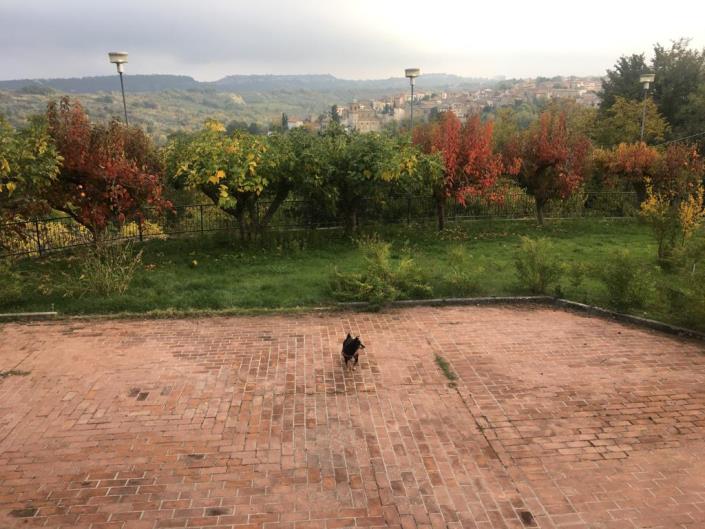 Image No.43-Villa / Détaché de 5 chambres à vendre à Rapino