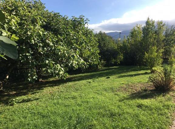 Image No.45-Villa / Détaché de 5 chambres à vendre à Rapino