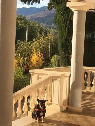 Image No.7-Villa / Détaché de 5 chambres à vendre à Rapino