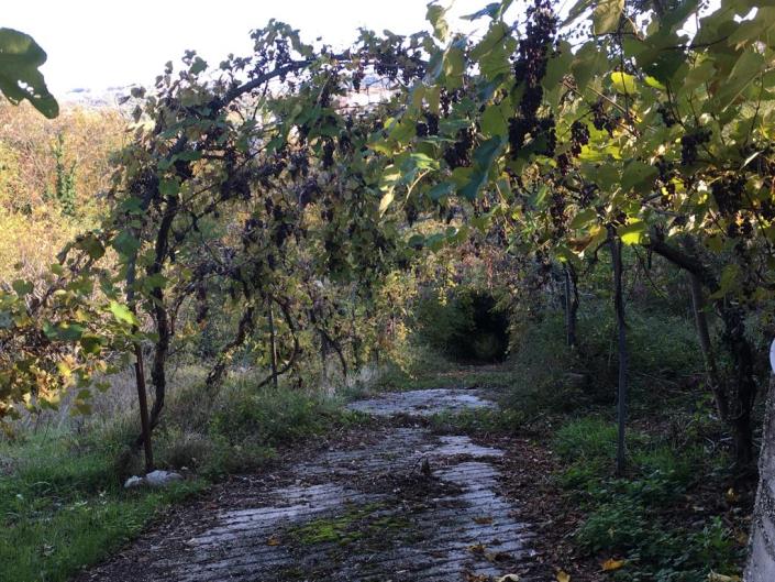 Image No.47-Villa / Détaché de 5 chambres à vendre à Rapino