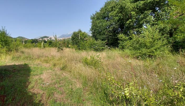 Image No.6-Land for sale