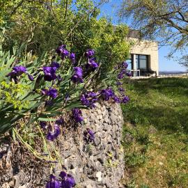 casanera-outside_06