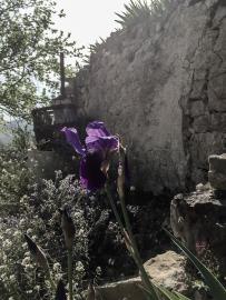 casanera-outside_11