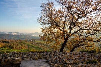 casanera-outside_15
