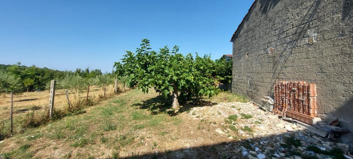 Image No.23-Propriété de pays de 1 chambre à vendre à Tornareccio