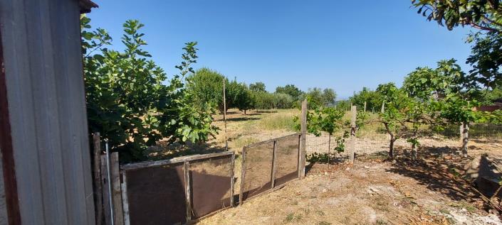 Image No.32-Propriété de pays de 1 chambre à vendre à Tornareccio