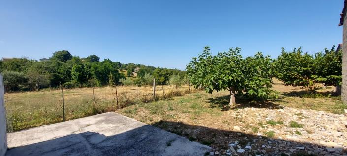 Image No.36-Propriété de pays de 1 chambre à vendre à Tornareccio