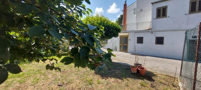 Image No.39-Propriété de pays de 1 chambre à vendre à Tornareccio