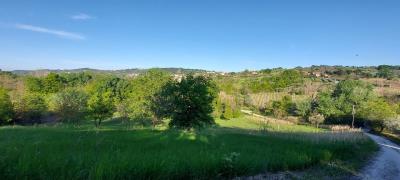msg5708171899-101447