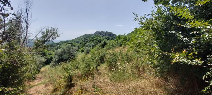 Image No.23-2 Bed Country Property for sale