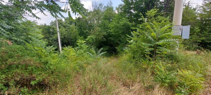 Image No.38-2 Bed Apartment for sale