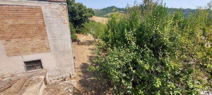 Image No.38-3 Bed Country Property for sale