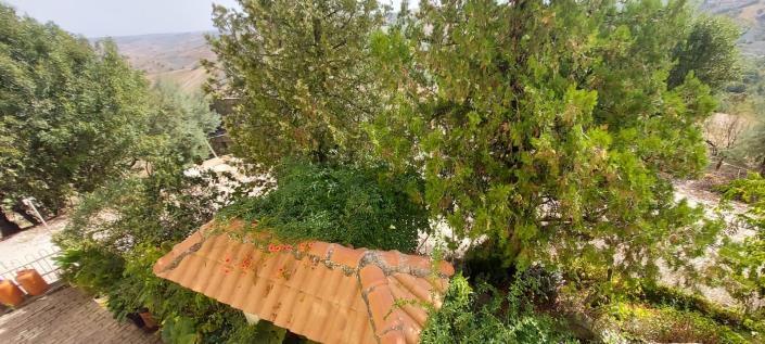 Image No.29-3 Bed Country Property for sale