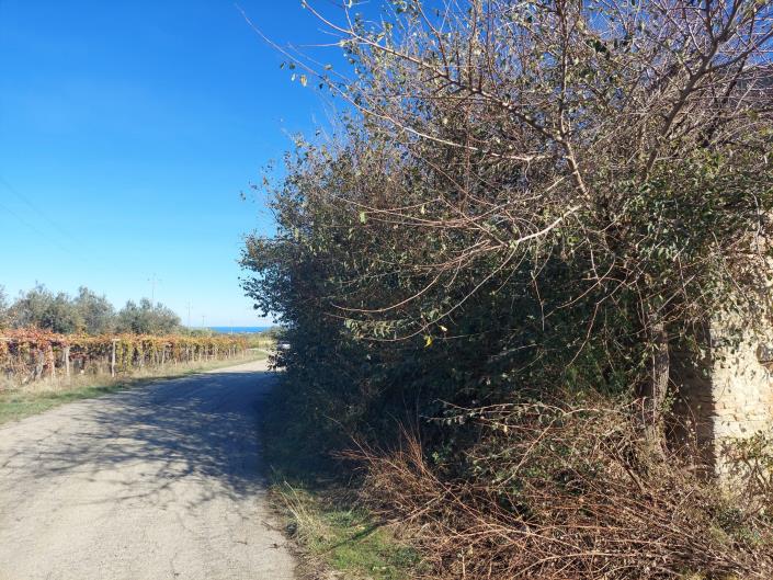 Image No.12-Plot for sale