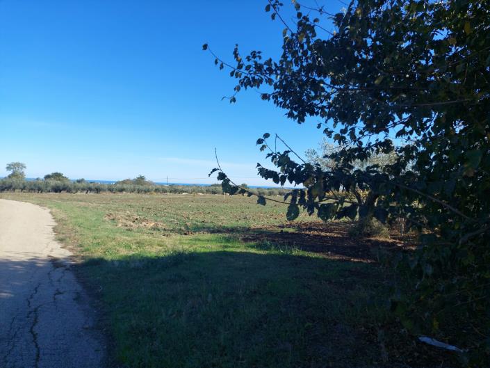 Image No.16-Plot for sale