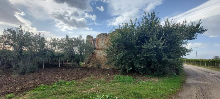 Image No.11-Plot for sale