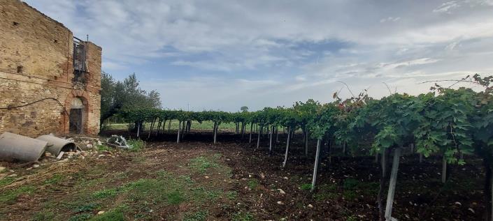 Image No.9-Plot for sale