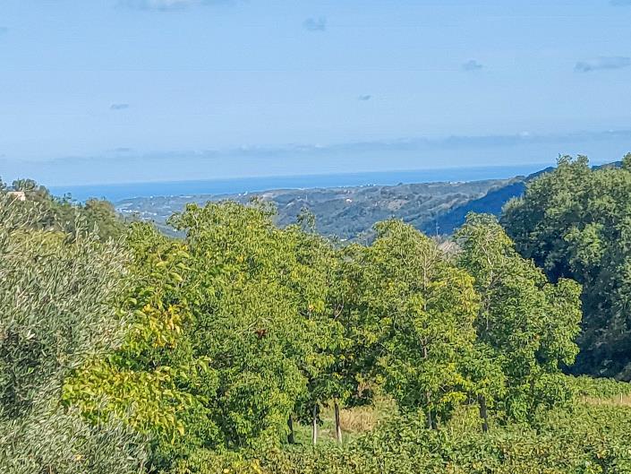 Image No.59-Maison / Villa de 6 chambres à vendre à Casacanditella