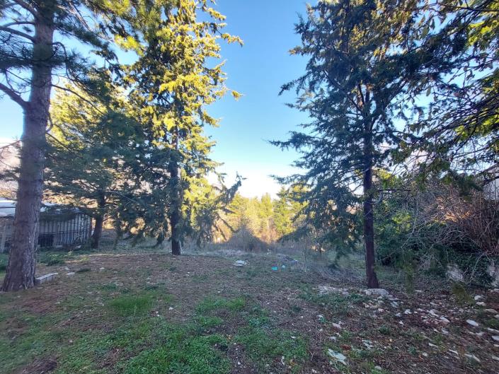 Image No.3-6 Bed Villa / Detached for sale