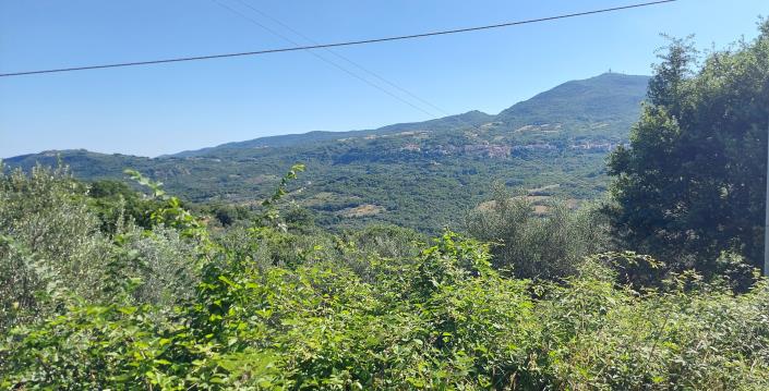 Image No.14-Maison de campagne de 2 chambres à vendre à Pennadomo
