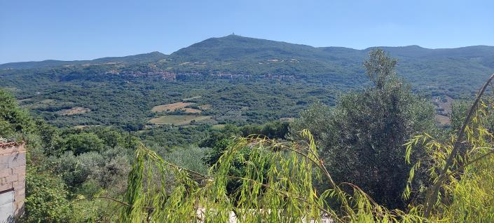 Image No.13-Maison de campagne de 2 chambres à vendre à Pennadomo