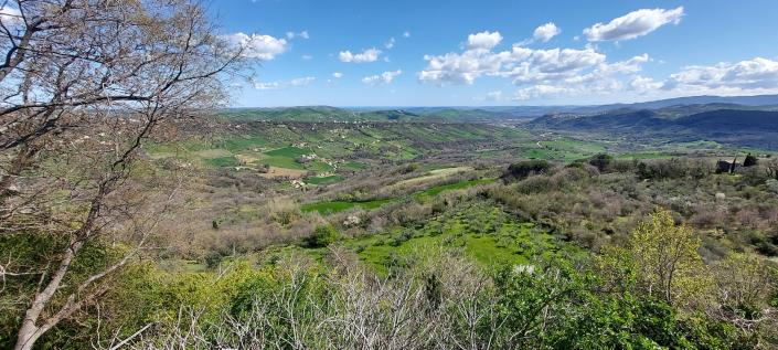 Image No.7-1 Bed Townhouse for sale