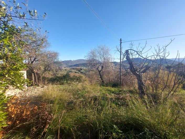 Image No.33-1 Bed Country House for sale