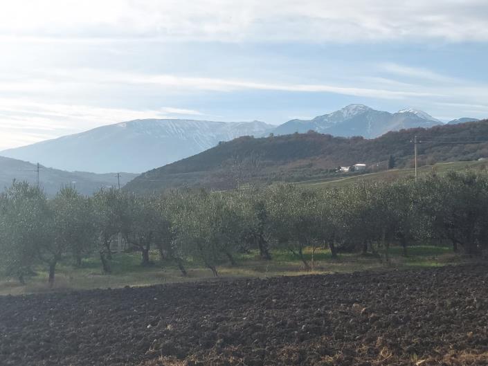 Image No.2-Land for sale