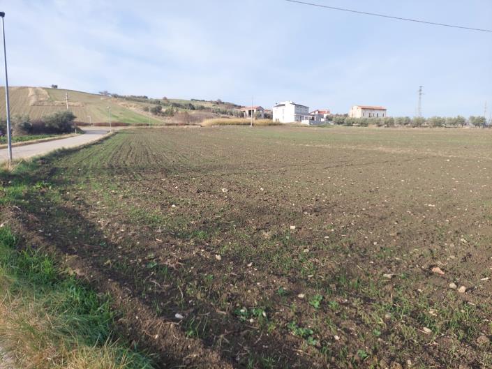 Image No.4-Land for sale