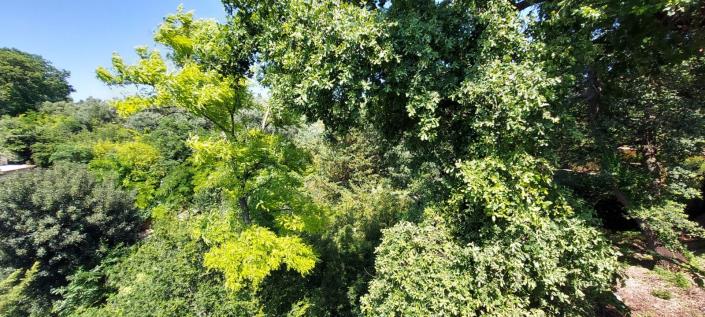 Image No.45-Maison / Villa de 3 chambres à vendre à San Vito Chietino