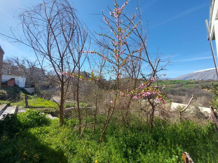 Image No.37-2 Bed Townhouse for sale