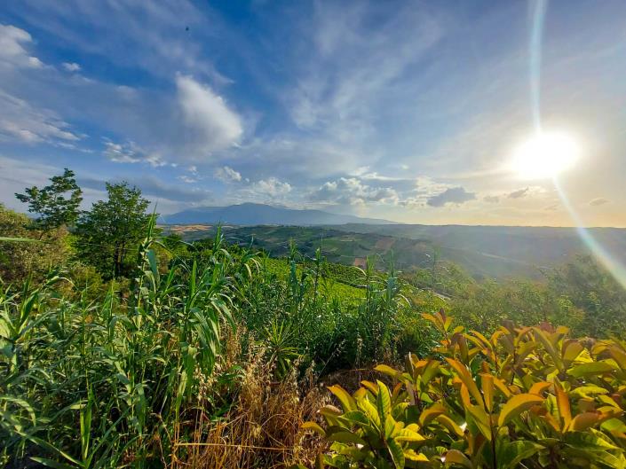 Image No.43-3 Bed House/Villa for sale