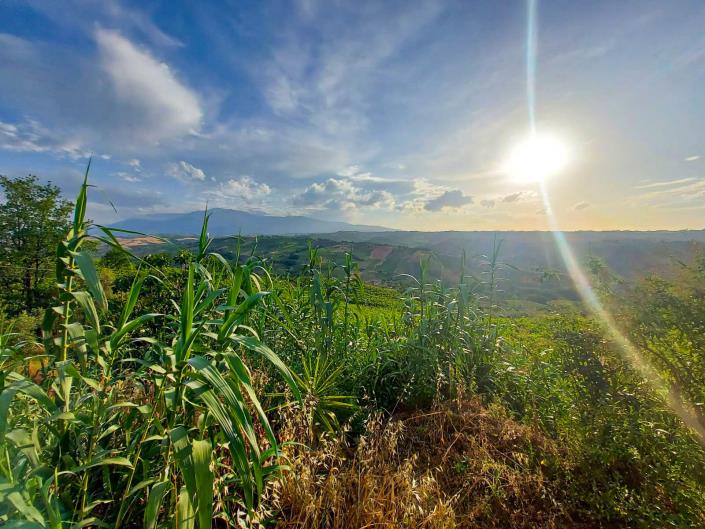 Image No.45-3 Bed House/Villa for sale