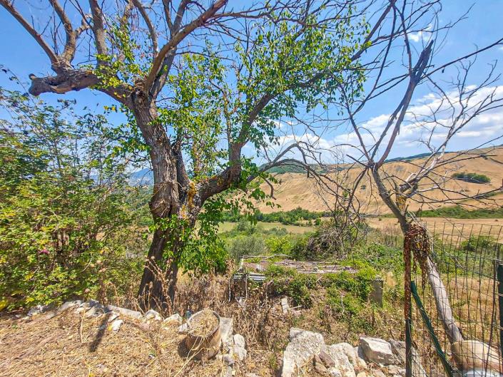 Image No.3-3 Bed House for sale