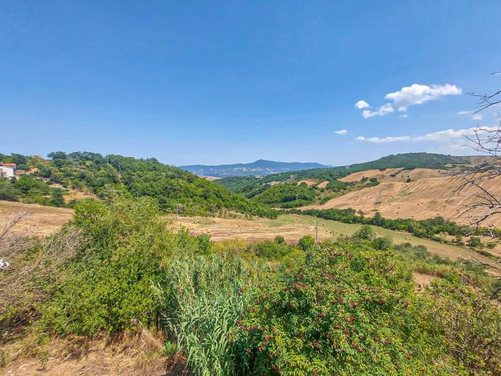 Image No.21-3 Bed House for sale